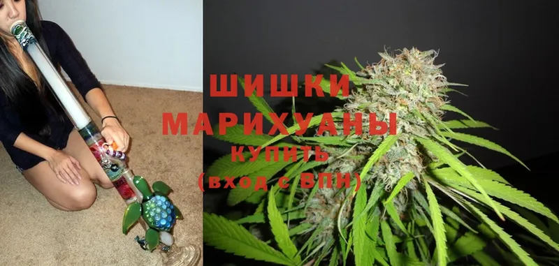 Марихуана THC 21%  дарнет шоп  Мирный 